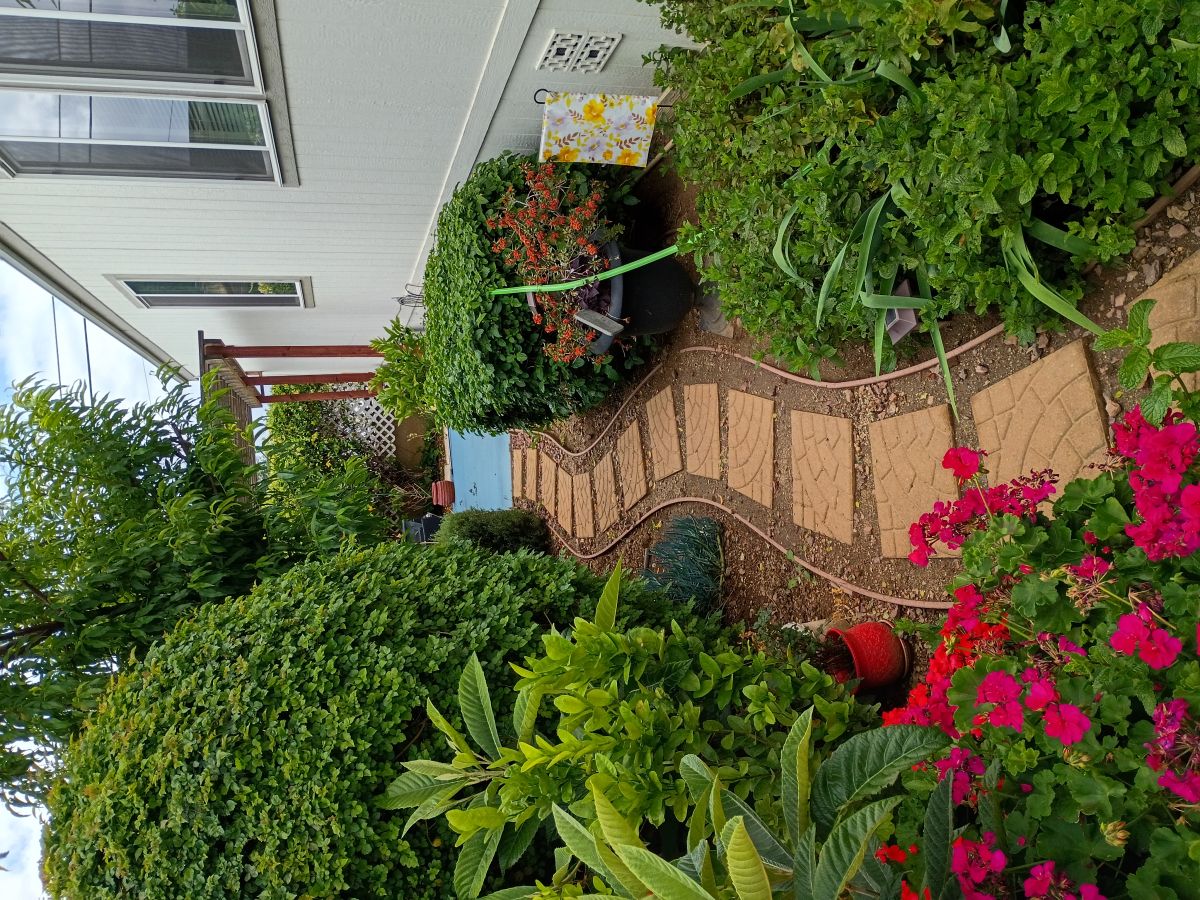 2200 W Wilson St # 101