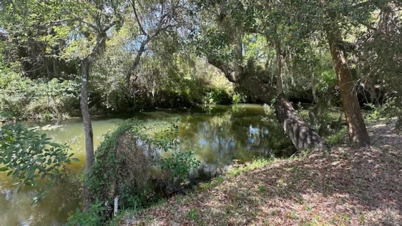 27205 Jones Loop Rd. #31