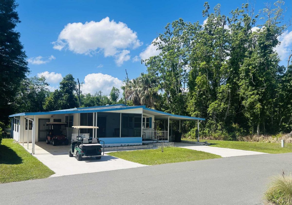 51 Rose Drive