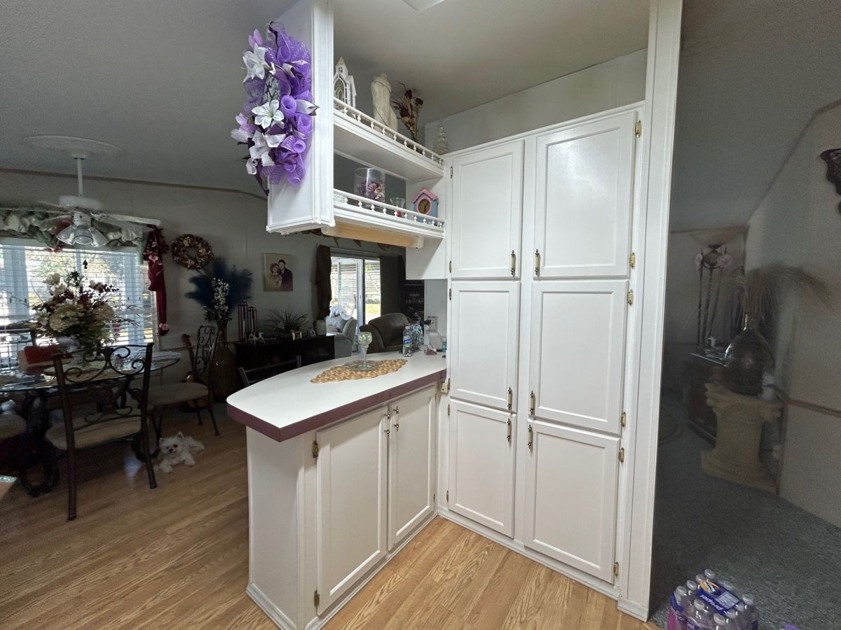 471 Petunia Drive
