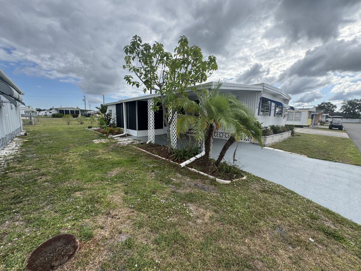 36 Jasmine Avenue