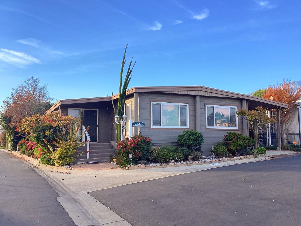 10210 Baseline 256