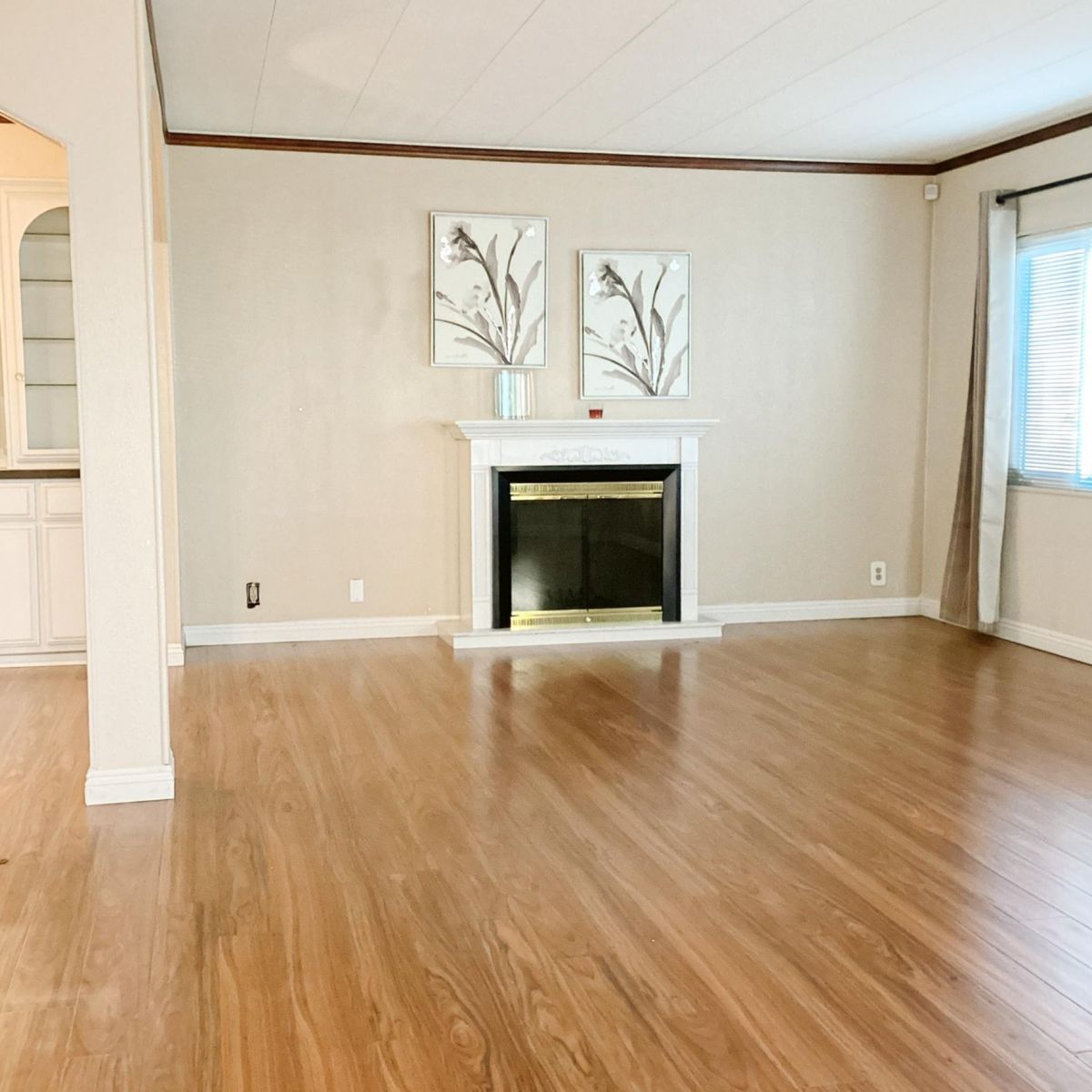 10210 Baseline 256