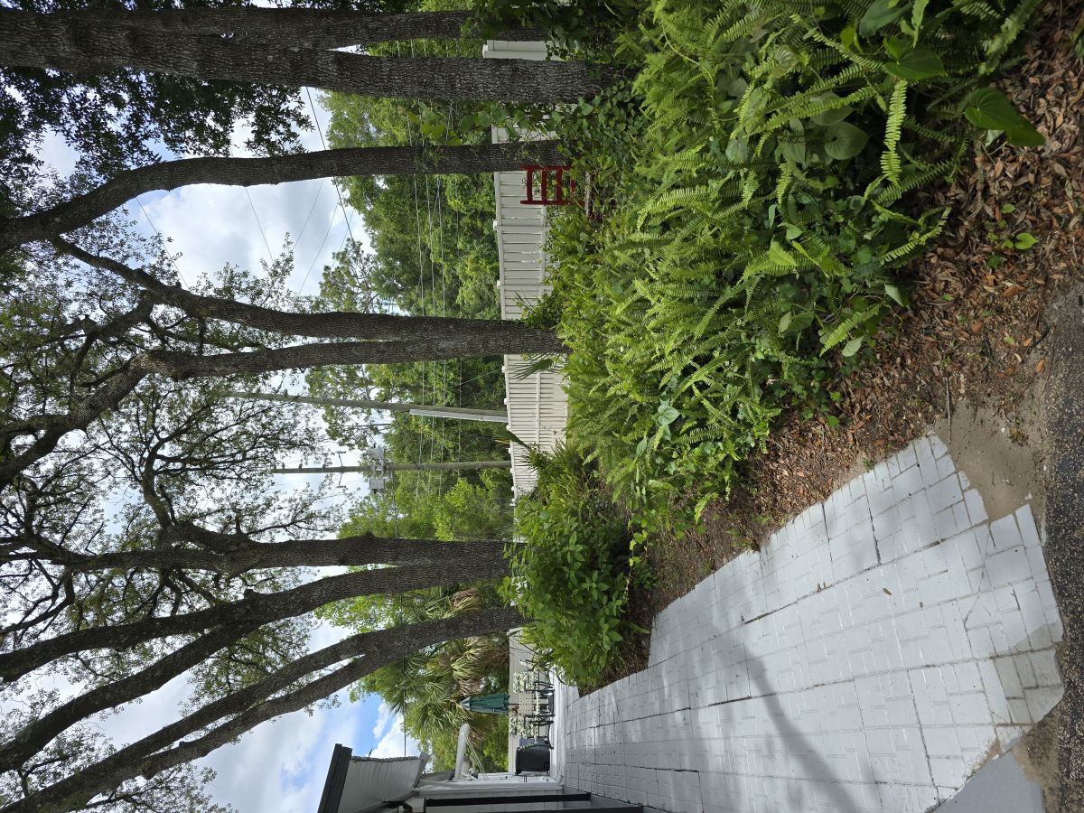 690 Orange Tree Drive