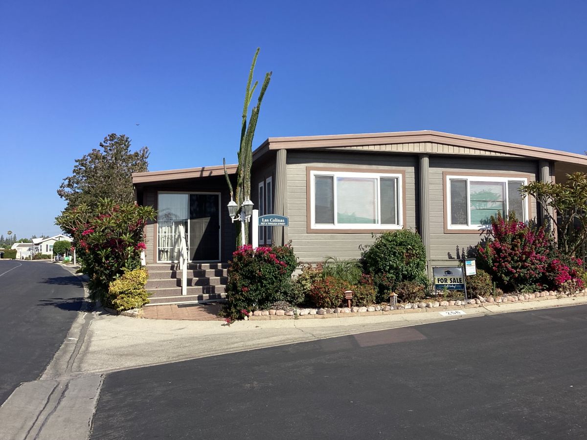10210 Baseline 256