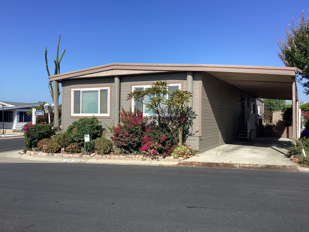 10210 Baseline 256