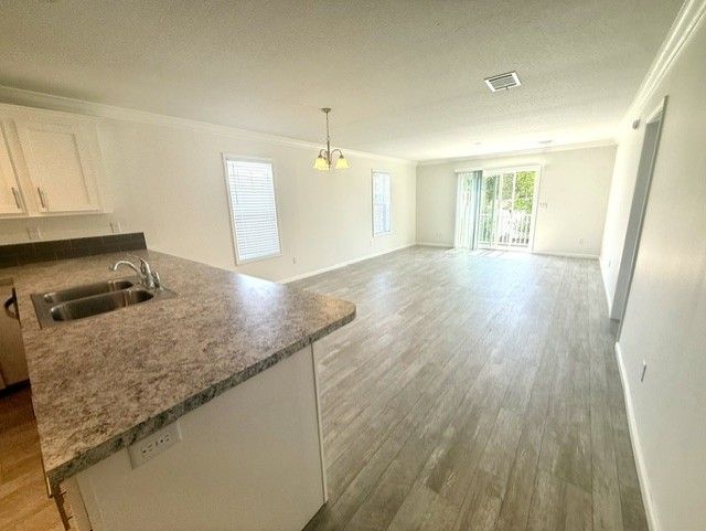 2550 State Rd. 580 #0417