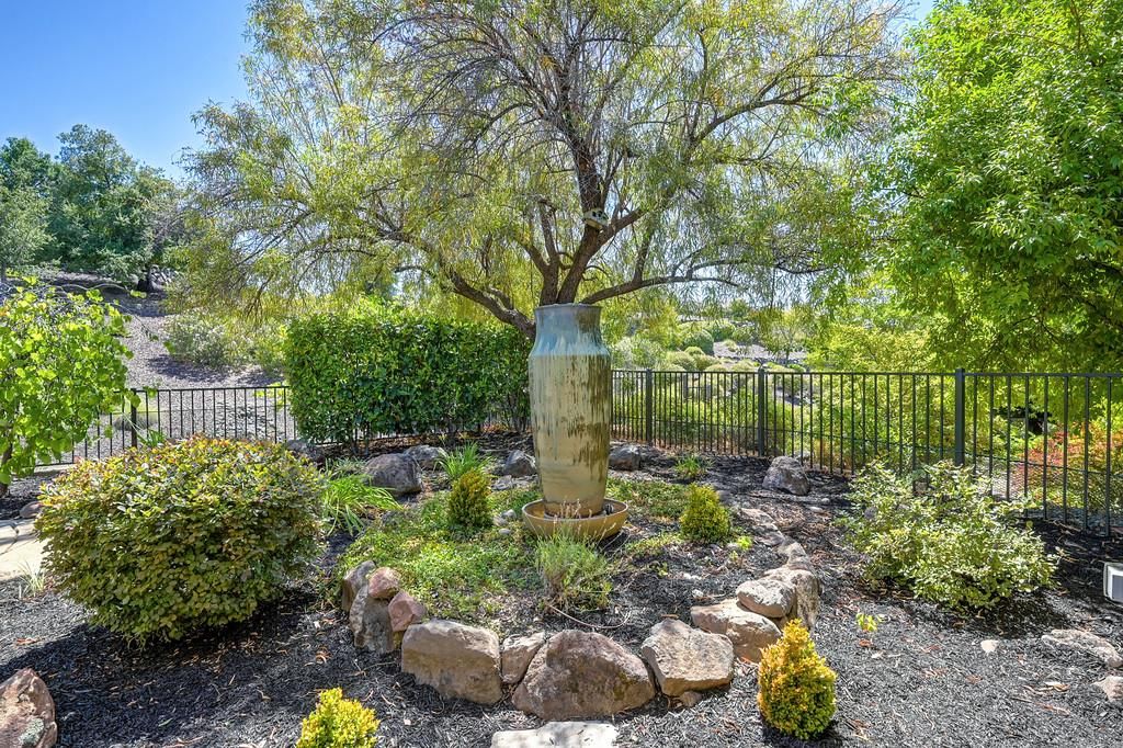 2607 Blue Heron