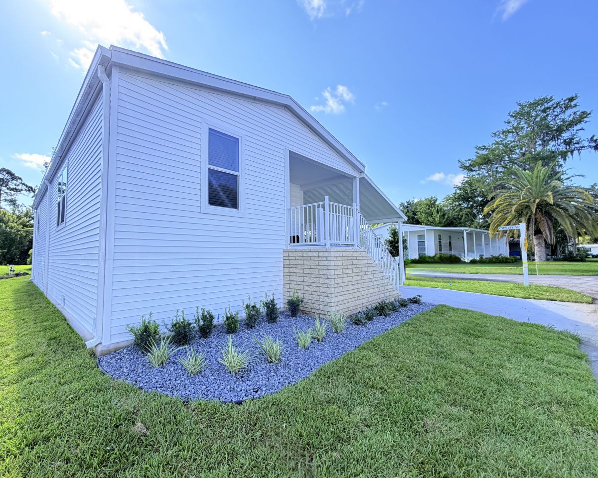 13 Cypress in the Wood