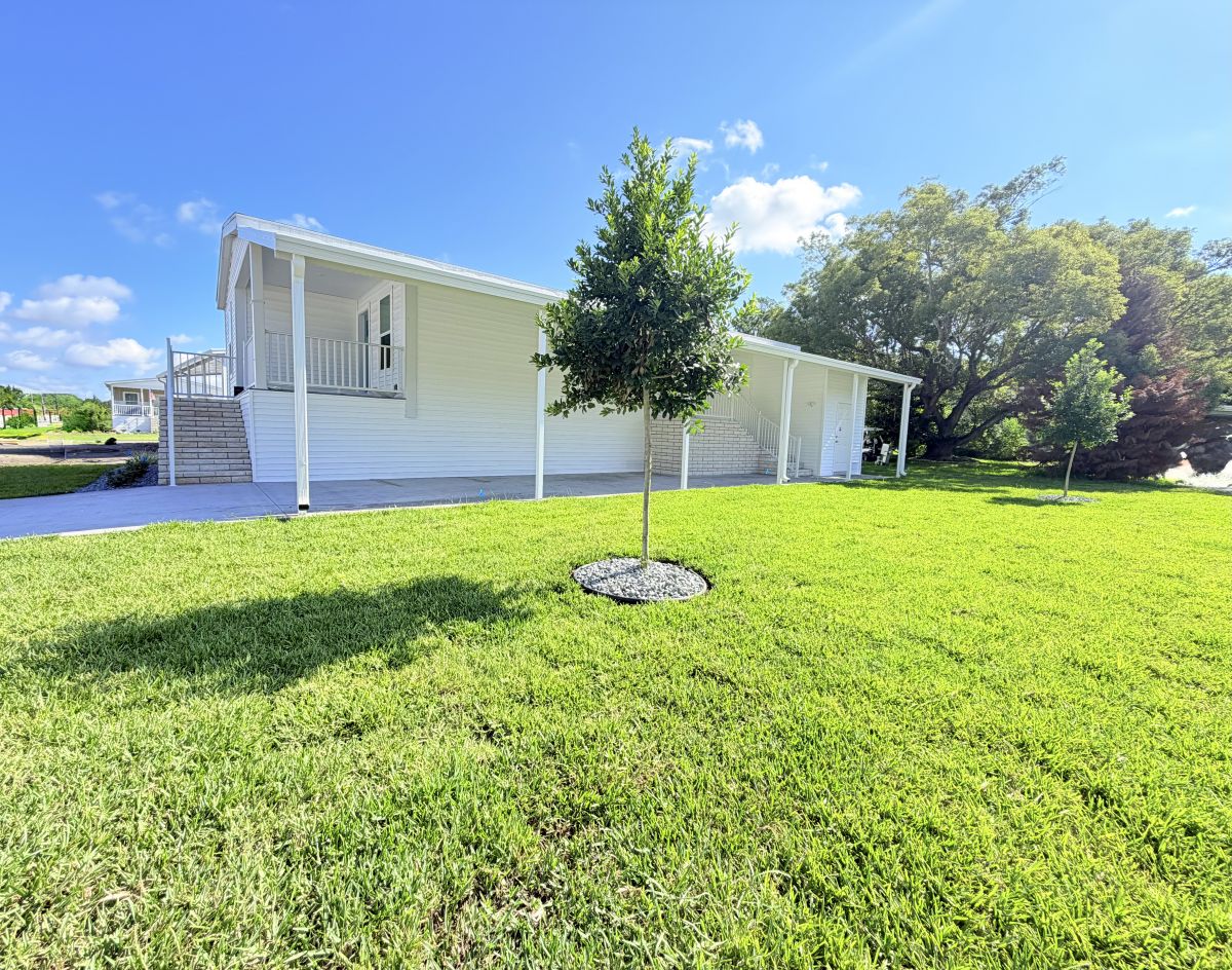 13 Cypress in the Wood