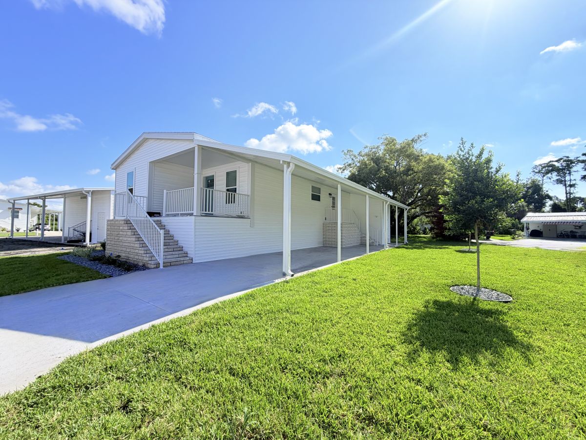 13 Cypress in the Wood