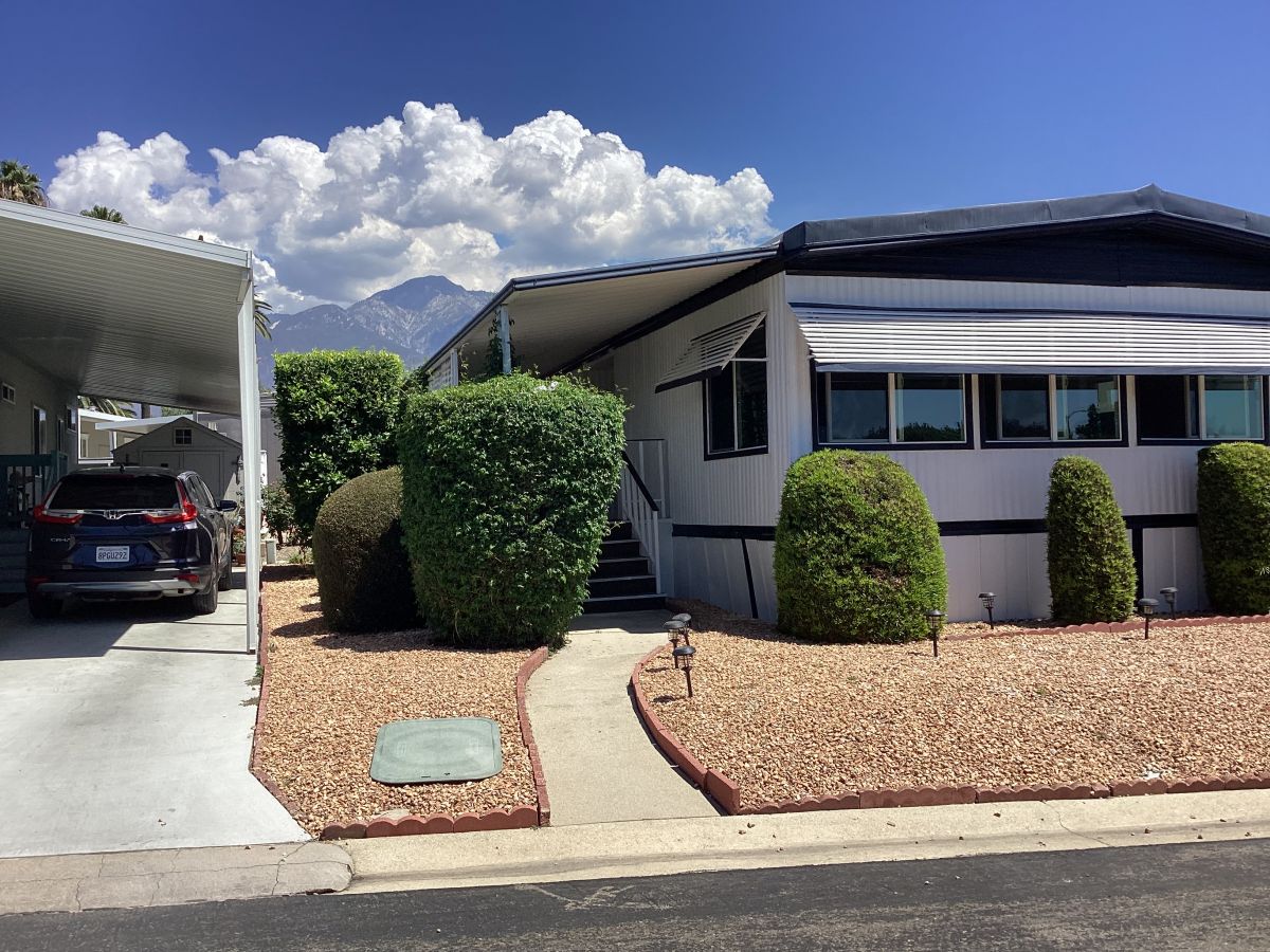 10210 Baseline 008