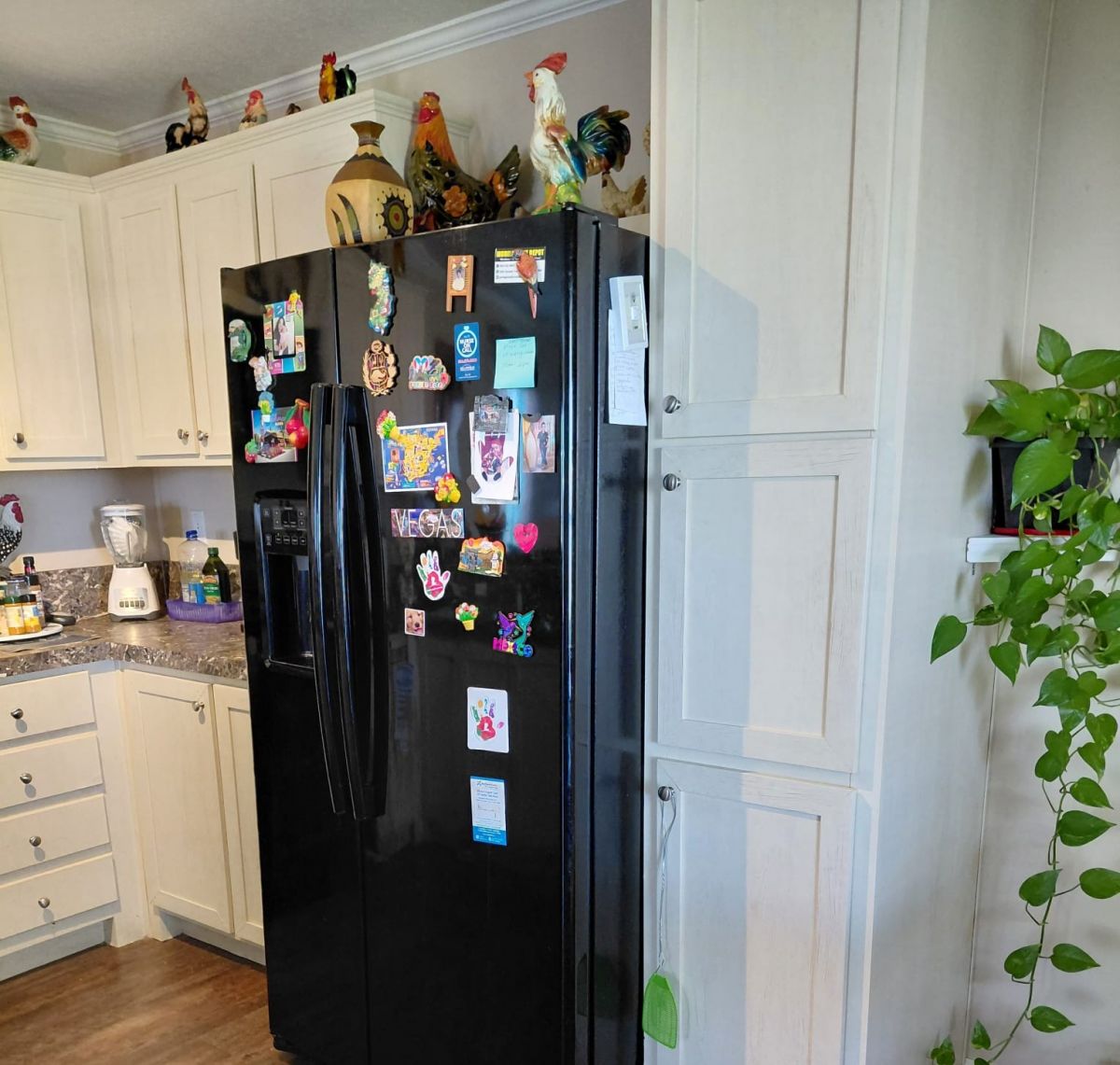61 MOONWIND DR.