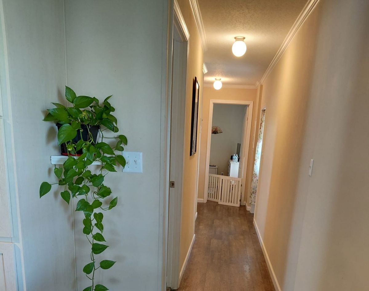 61 MOONWIND DR.