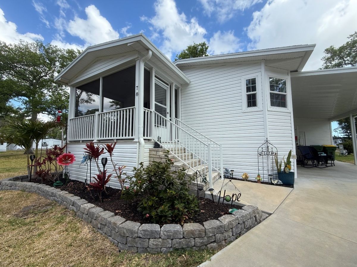 78 Cypress in the Wood