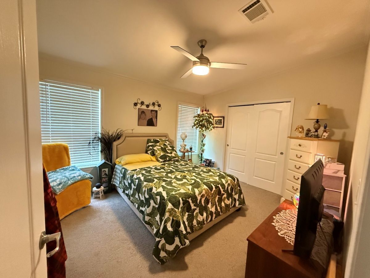 78 Cypress in the Wood