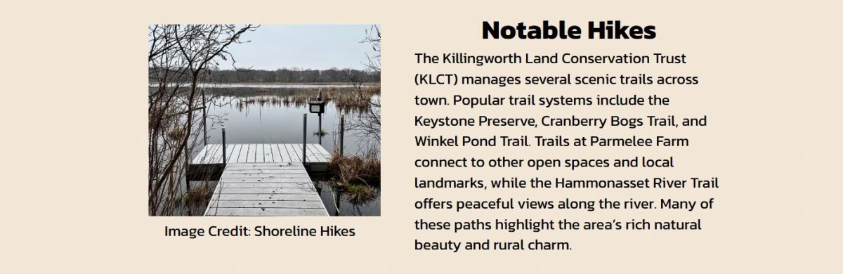 42 Swan Lake Trail