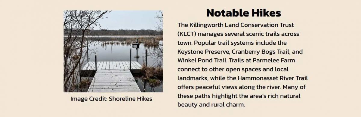 42 Swan Lake Trail