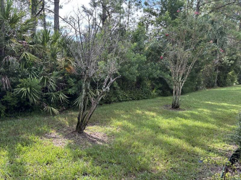 145 Green Forest Drive #542