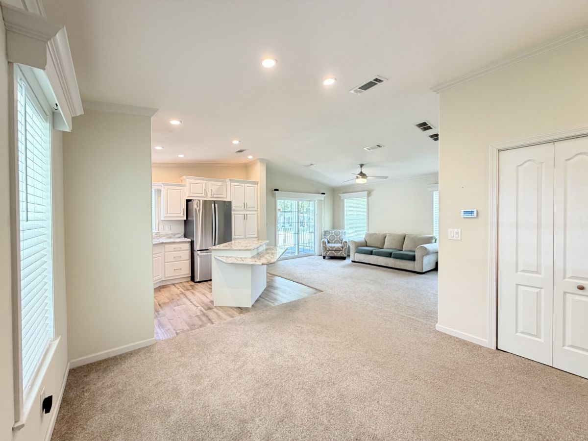 78 Cypress in the Wood