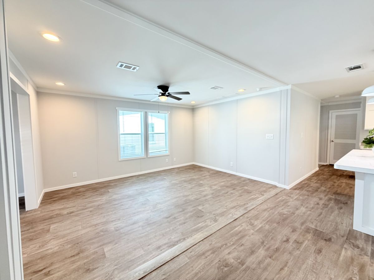 22 Cypress in the Wood