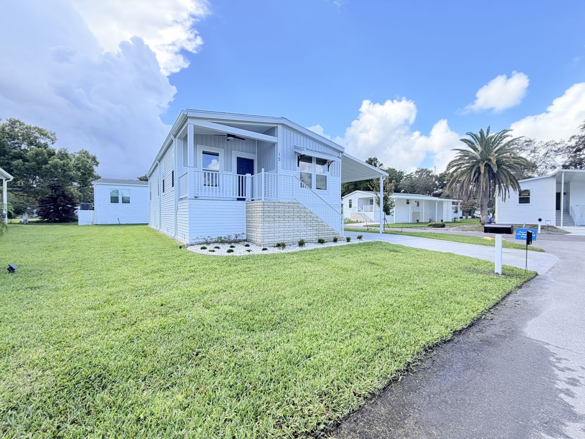 15 Cypress in the Wood