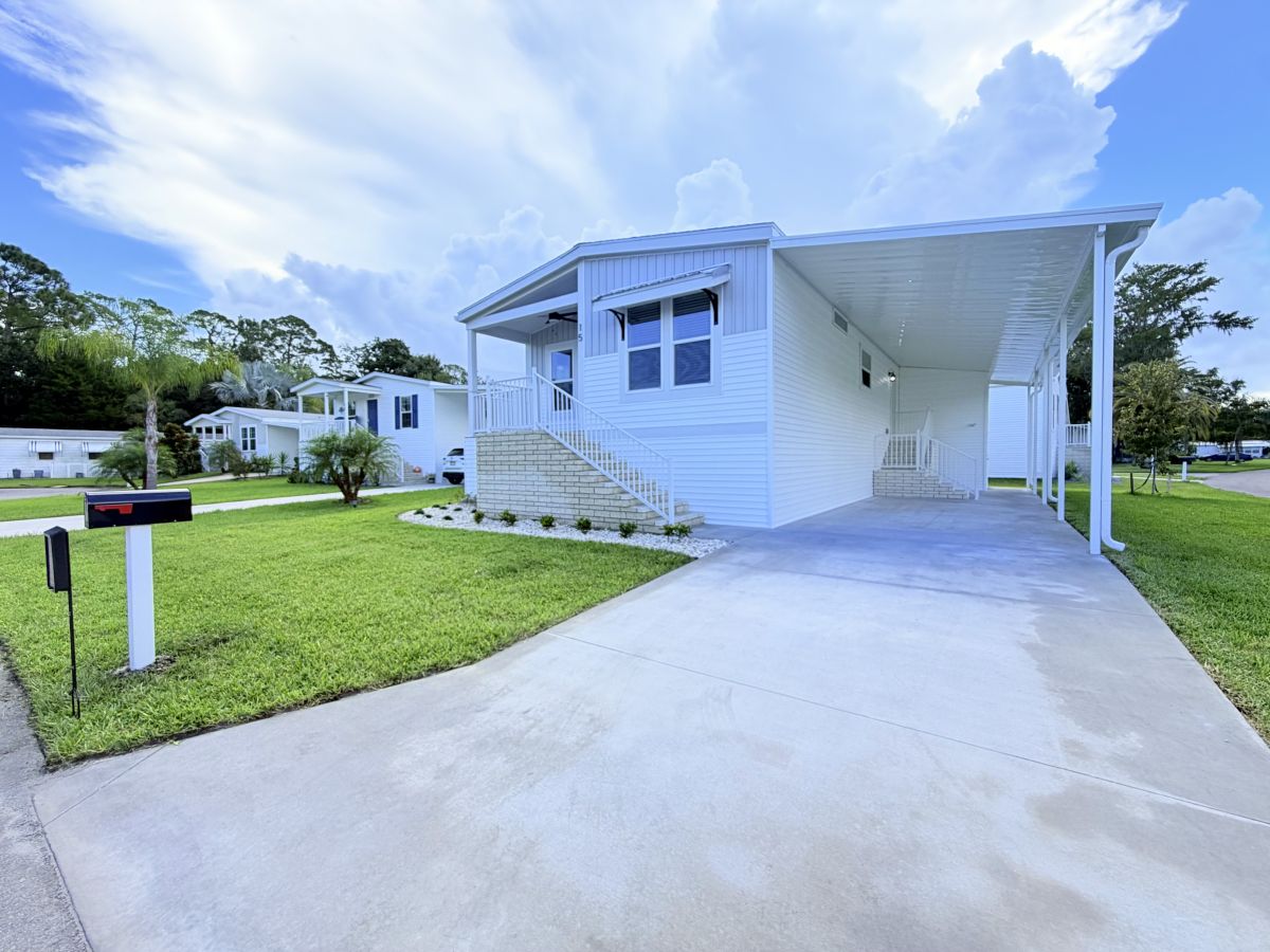 15 Cypress in the Wood