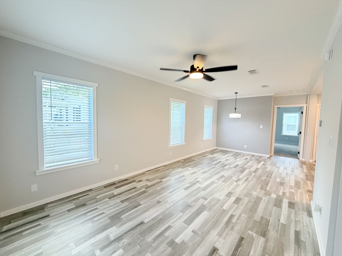15 Cypress in the Wood