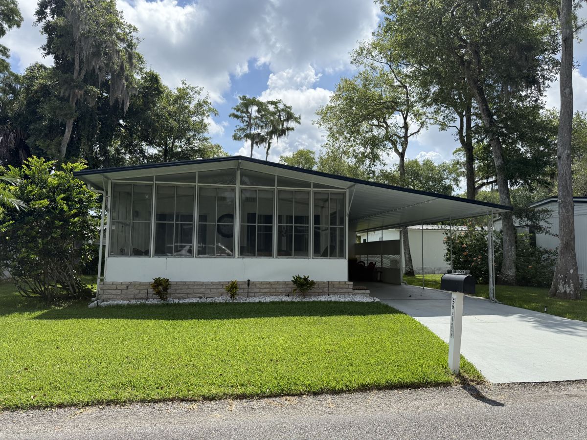 58 Cypress in the Wood