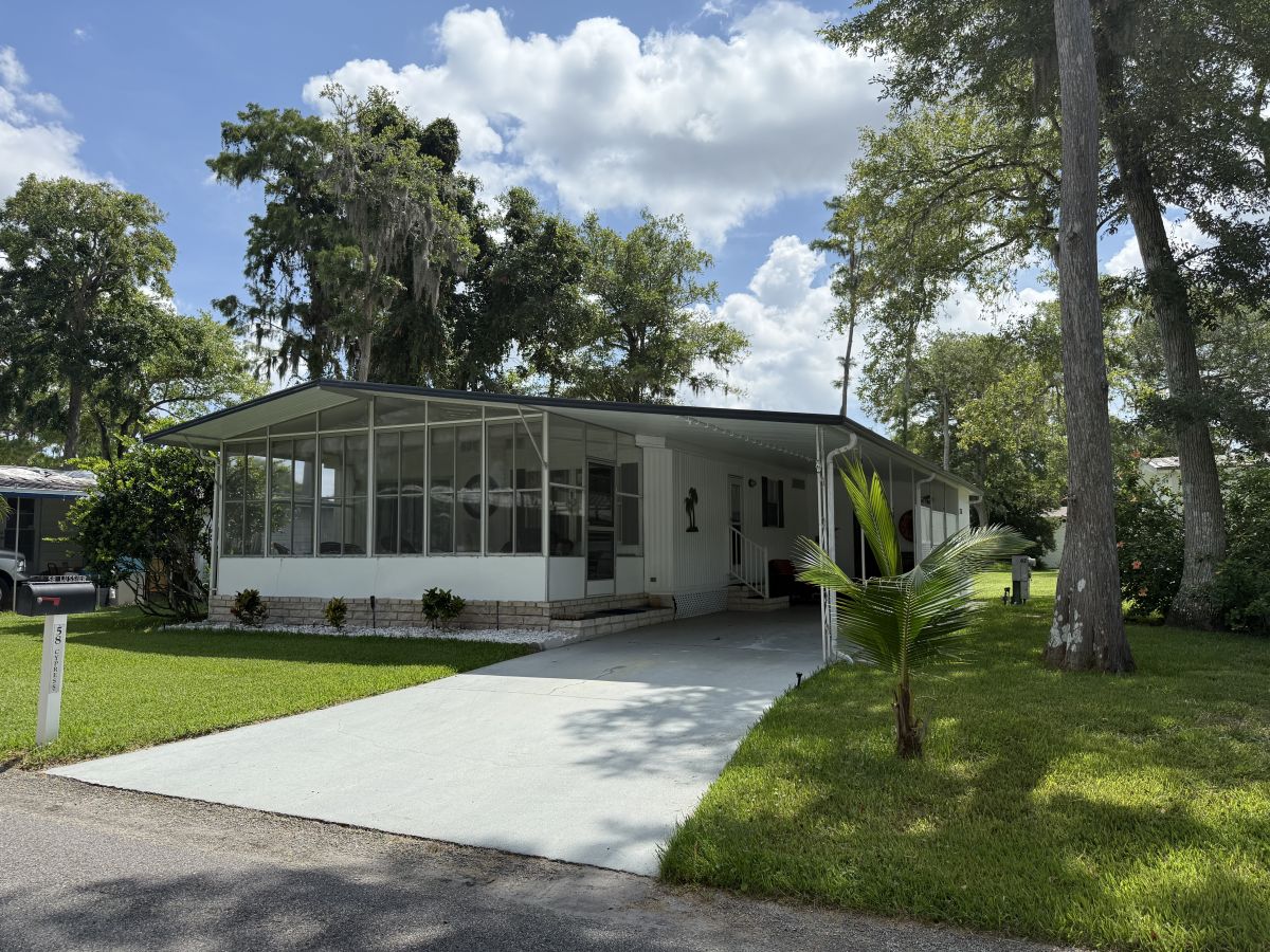 58 Cypress in the Wood