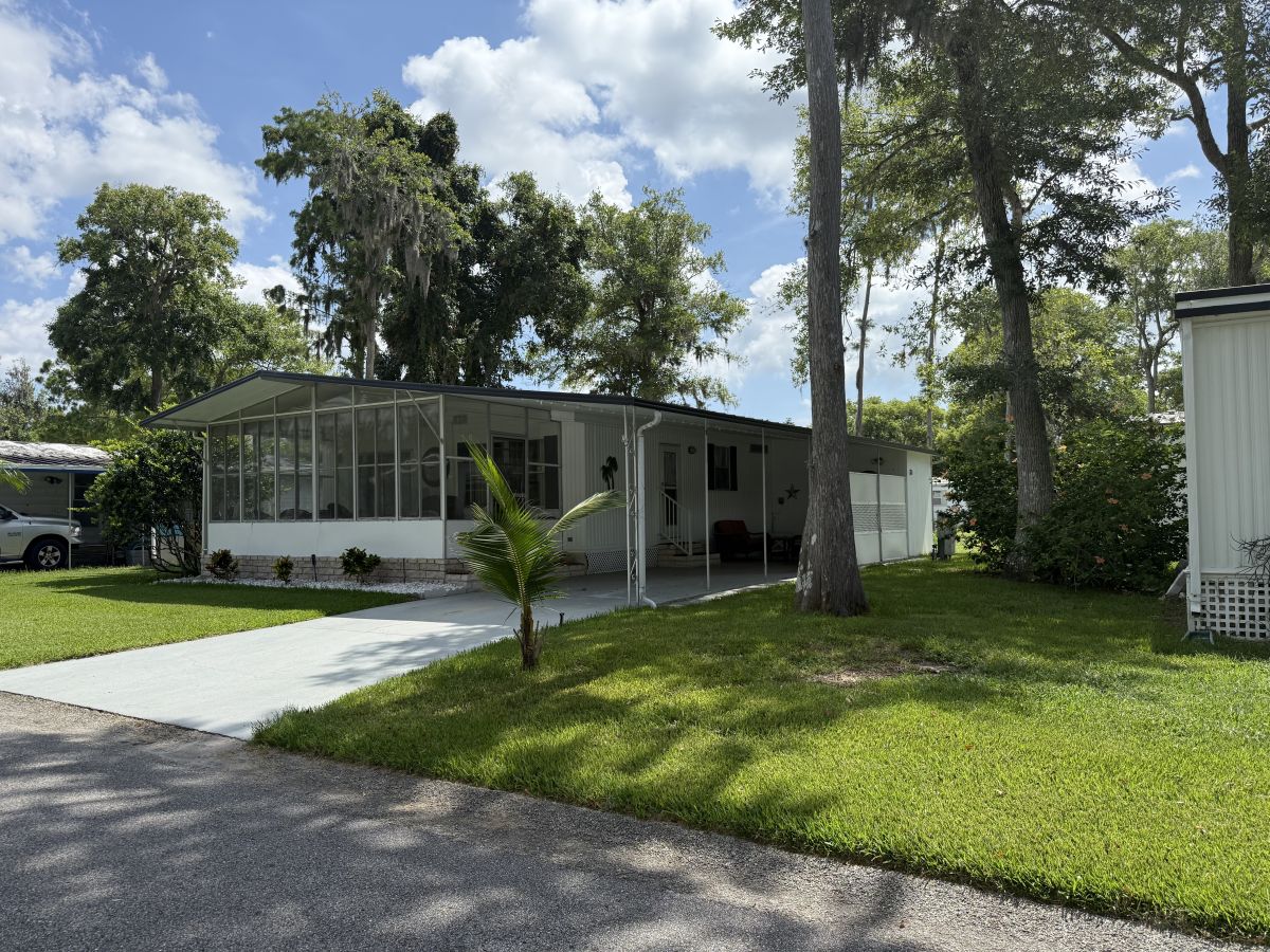 58 Cypress in the Wood