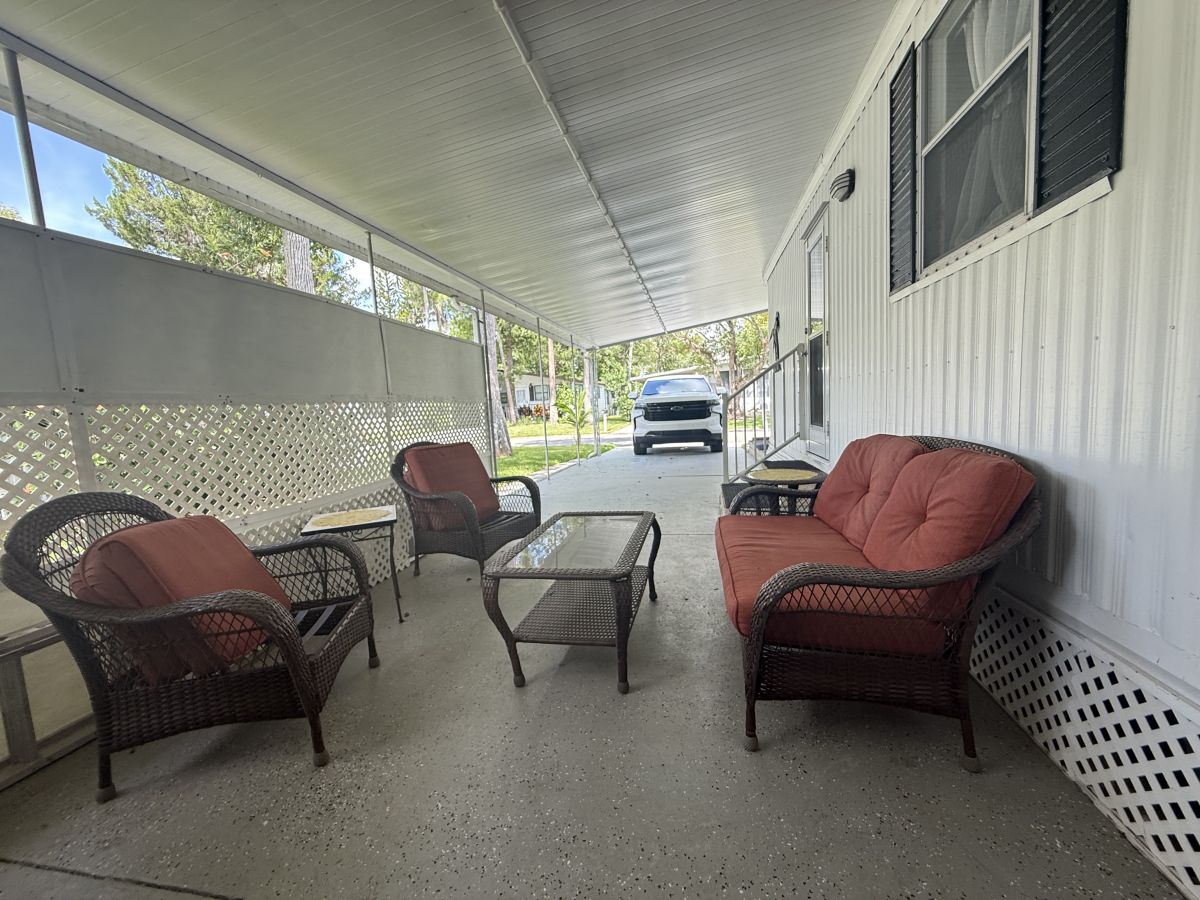 58 Cypress in the Wood
