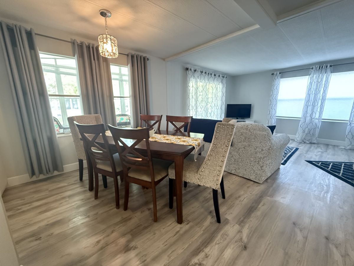 58 Cypress in the Wood