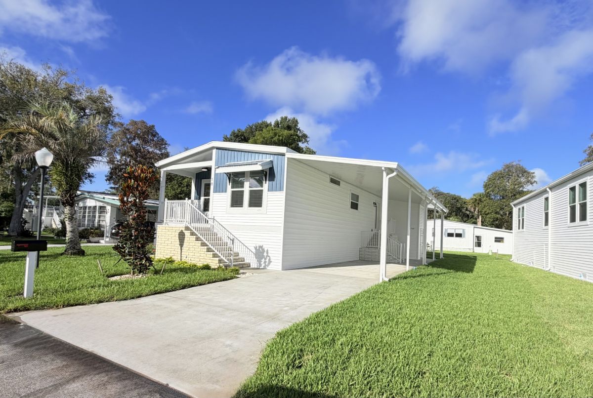 18 Cypress in the Wood