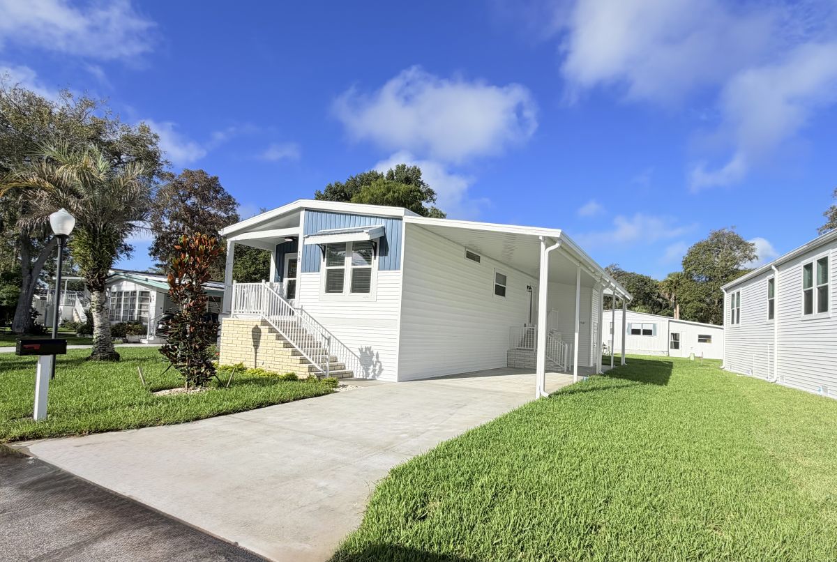 18 Cypress in the Wood