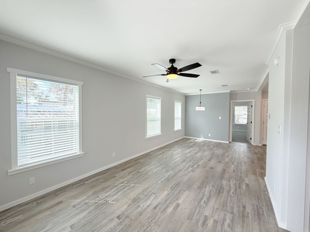 18 Cypress in the Wood