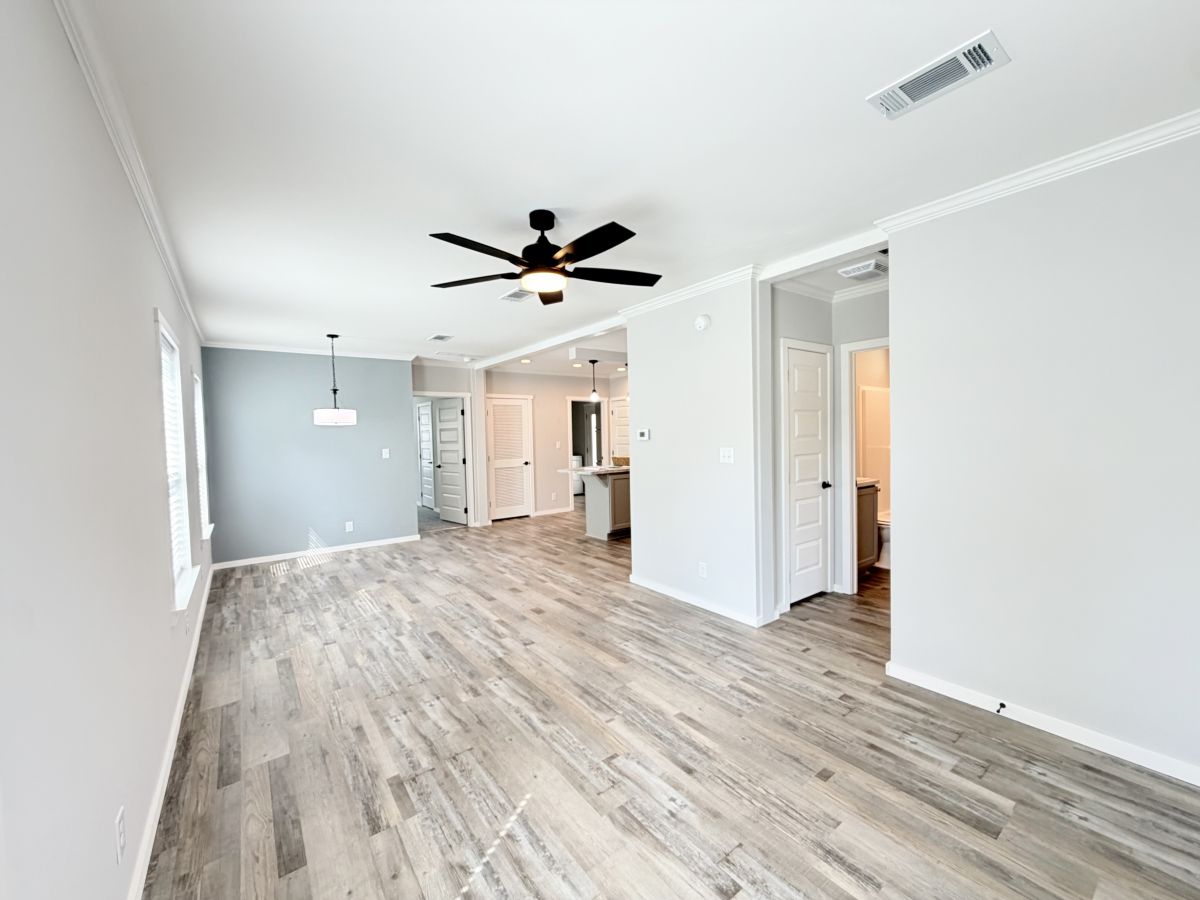 18 Cypress in the Wood