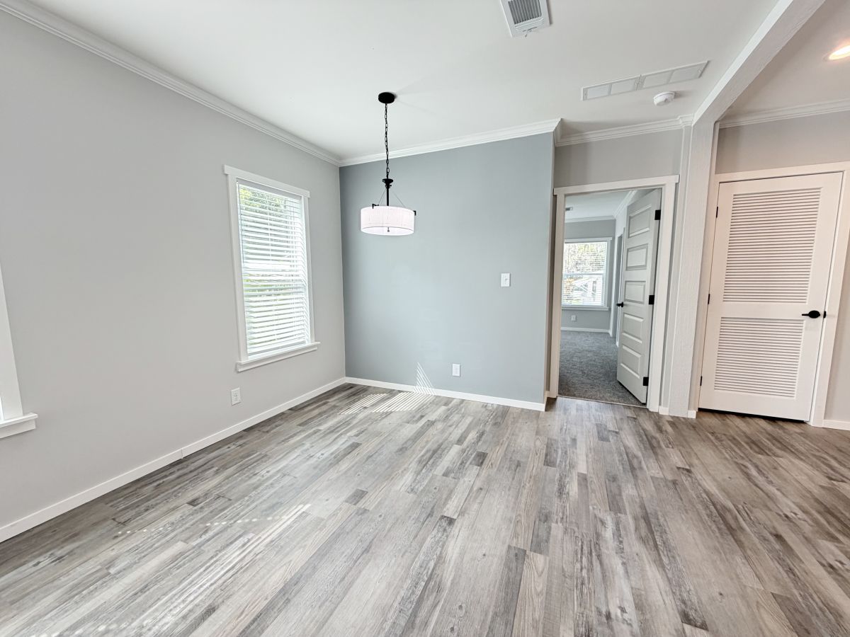 18 Cypress in the Wood