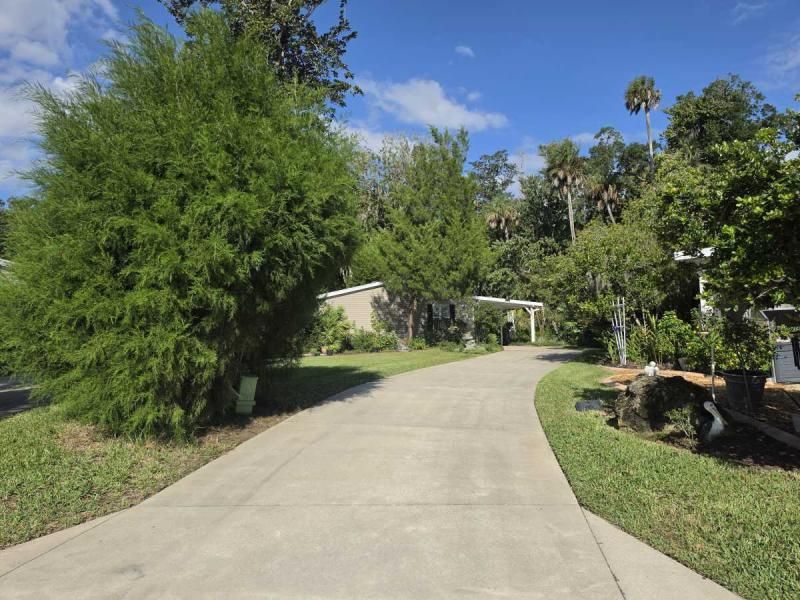 59 Habersham Dr.