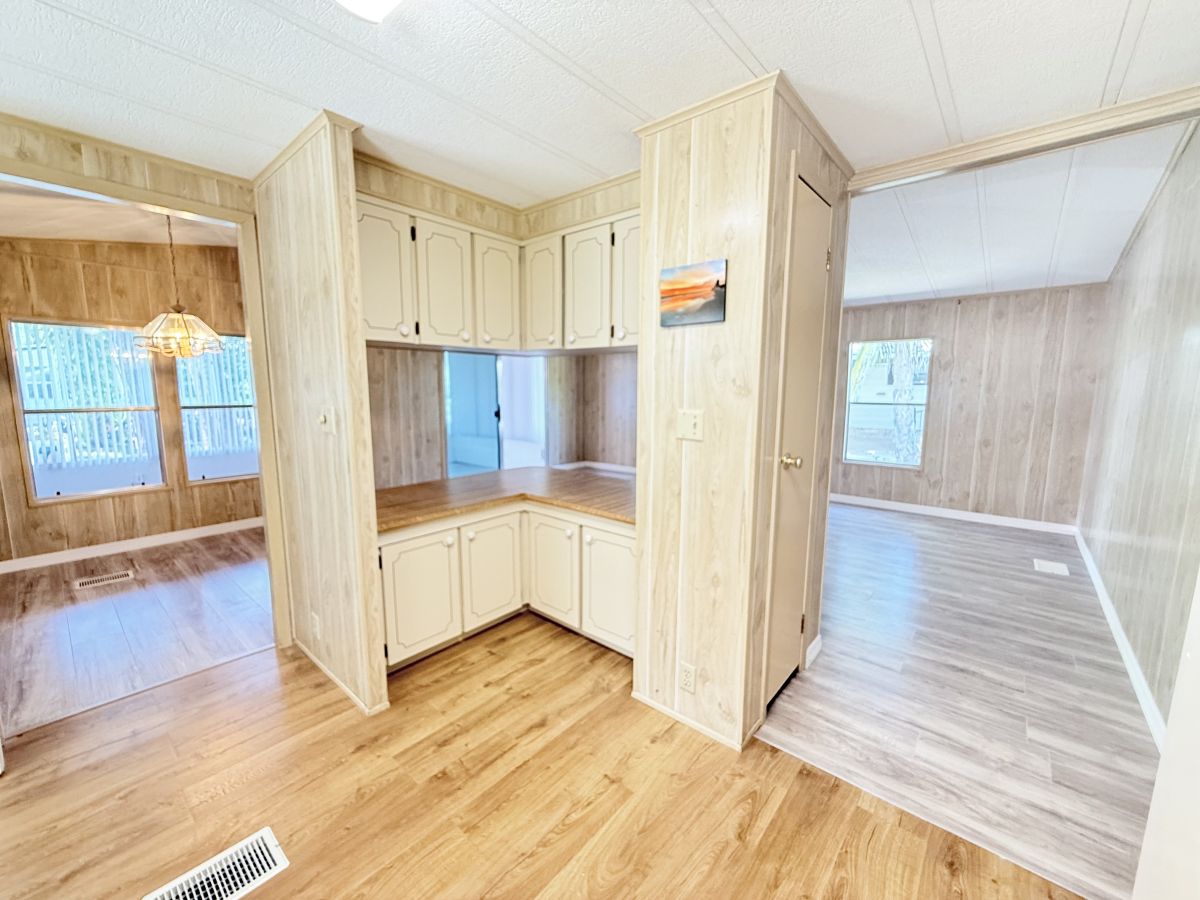 43 Oak in the Wood