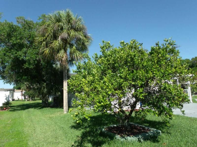 4591 Avalon Cove Lot #44