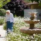 Sunshine Care - The Sycamores