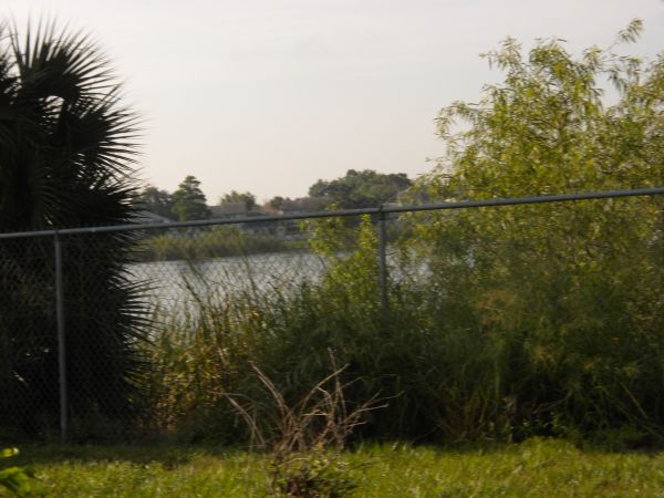 2106 Tonka Drive
