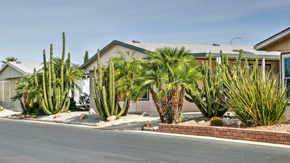 Fountain Hills, AZ 55 Plus Active Adult Communities and Homes