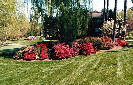 Springmoor Life Care Retirement Community