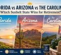Florida vs. Arizona vs. the Carolinas: Which Sunbelt State Wins for Retirement?