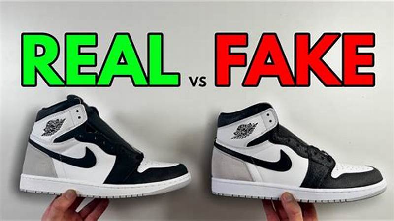 FrankFred Legit Check: Real or Scam?