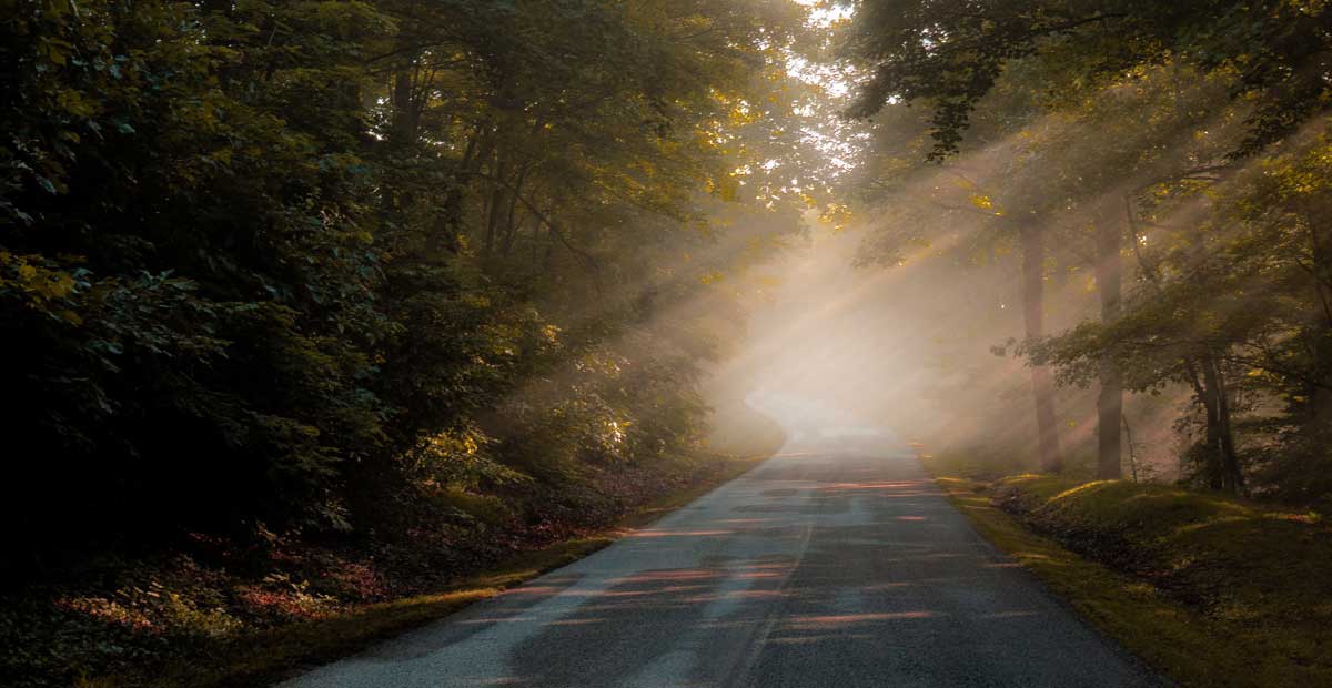 Videos Matthew Crawford on the Car as a Domain of Skill and Freedom