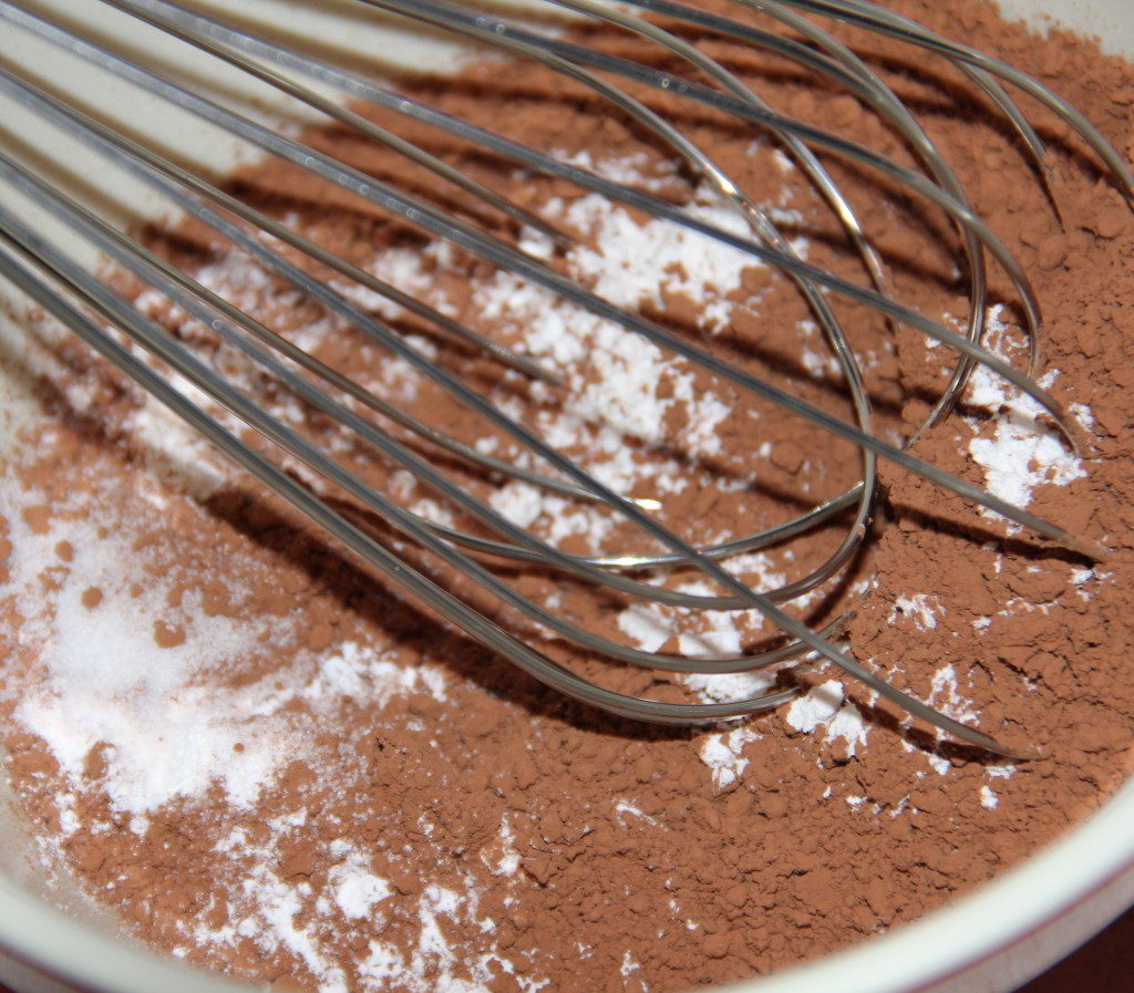 Cocoa Brownies--rich, chocolatey, moist, and super easy!