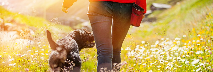 O que aprendemos a valorizar na caminhada da vida